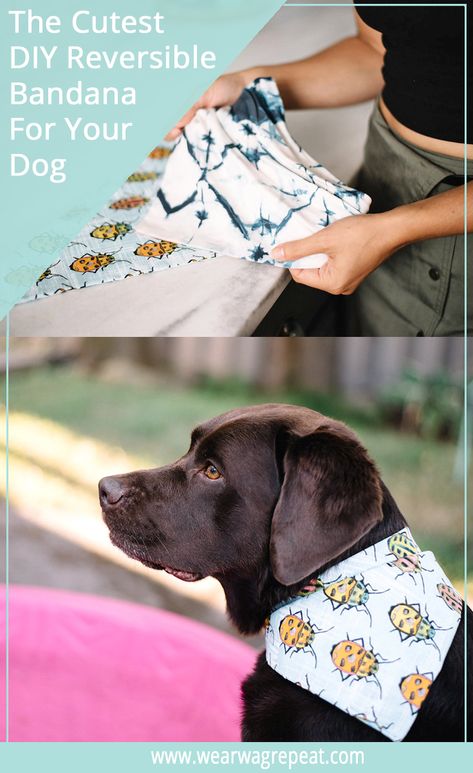 How To Make The Cutest DIY Reversible Dog Bandanas | Wear Wag Repeat Double Sided Dog Bandana Diy, Dog Bandana Sewing Pattern, How To Make Dog Bandanas, Diy Dog Bandana Pattern, Diy Dog Accessories, Pet Bandana Pattern, Diy Dog Bandana, Dog Bandana Diy, Treat Business