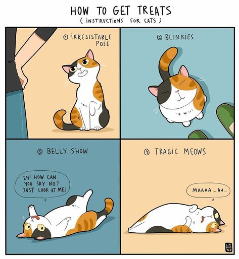 Funny Comic Of Life With A Cat By Lingvistov Cat Comics Funny, Cat Comic Strip, Hilarious Comics, Cat Story, Witty Humor, Relatable Comics, Cat Language, Funny Comic, Cat Comics