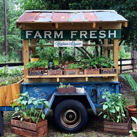 Farmers Market Plant Display, Vegetable Stand Roadside, Roadside Farm Stand, Veggie Stand, Farm Market Ideas, Open Air Market, Roadside Stand, Farmers Market Stand, Farmers Market Display