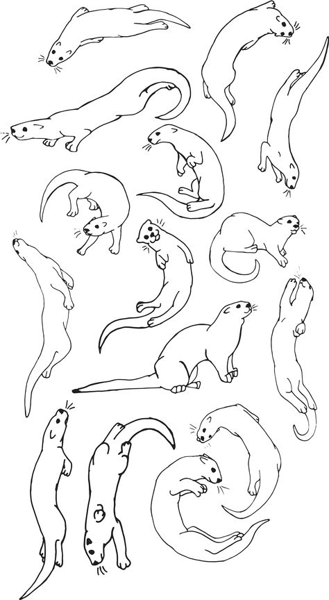 How To Draw An Otter, Otter Drawing Sketches, Otters Tattoo, Otter Drawing Simple, Otter Tattoo Ideas, Weasel Tattoo, Otter Tattoo Simple, Otters Drawing, Weasel Illustration