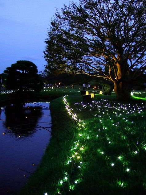 Beautiful candlelight Outdoor Event Lighting, White Fairy Lights, Famous Castles, Okayama, Event Lighting, Outdoor Event, Japan Photo, Outdoor Events, Landscape Lighting