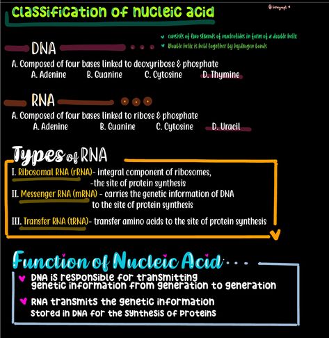 #biochem #nucleicacid #dna #rna Nucleic Acid Notes, Dentistry Notes, Biochemistry Notes, Nucleic Acid, Double Helix, Protein Synthesis, Biochemistry, Amino Acids, Blue