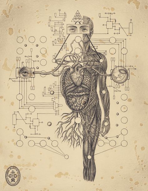 #DanielMartinDiaz Daniel Martin Diaz, Intaglio Print, Esoteric Art, Linocut Art, Occult Art, Geometry Art, Scientific Illustration, Art Et Illustration, Visionary Art