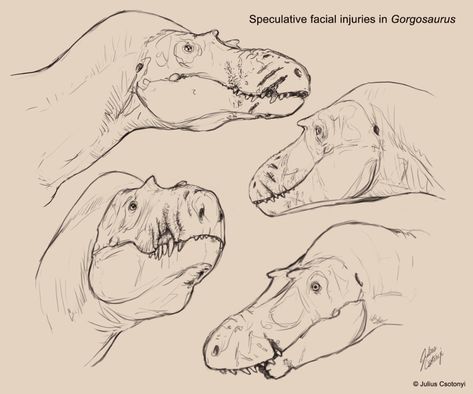 Prehistoric Animals Art, Dinosaur Poses Reference, Ceratosaurus Art, Character Concept Art Sketch, Dinosaur Concept Art, Paleoart Dinosaurs, How To Draw Dinosaurs, Dinosaur Anatomy, Dinosaur Reference