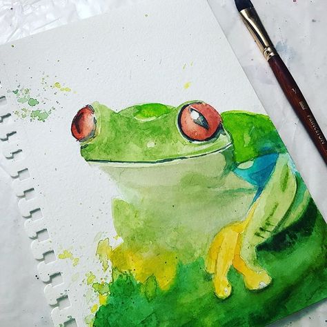 Happy Wednesday!  #practicepracticepractice #watercolor #coloredpencil #rainforest #frog #painting Rainforest Frog, Frog Painting, Art Mignon, Siluete Umane, Art Carte, Frog Art, Seni Cat Air, 수채화 그림, Watercolor Art Lessons