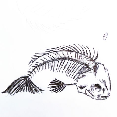 Drawing of a fish skeleton in pencil & pen Fish Bones Illustration, Creepy Fish Drawing, Pen Fish Drawing, Fish Bone Drawing, Dead Fish Drawing, Scary Fish Drawing, Fish Skeleton Drawing, Skeleton Fish, Fish Skeleton Tattoo