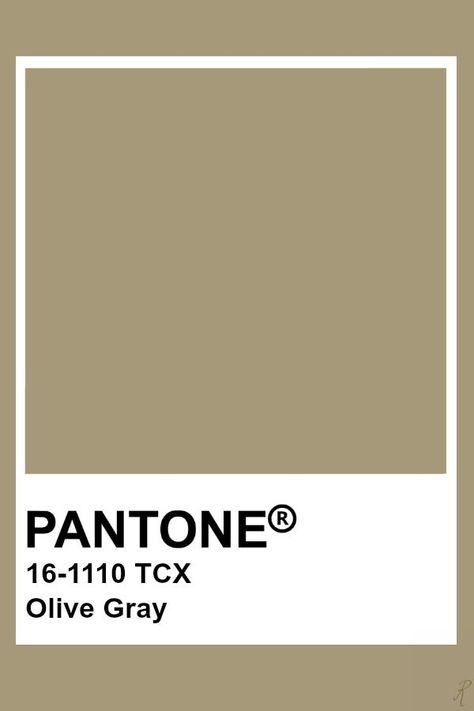 Pantone Olive Gray Khaki Pantone, Khaki Color Palette, Pantone Tcx, Pantone Color Chart, Pantone Swatches, Pantone Palette, Pantone Colour Palettes, Pantone Colors, Color Chip