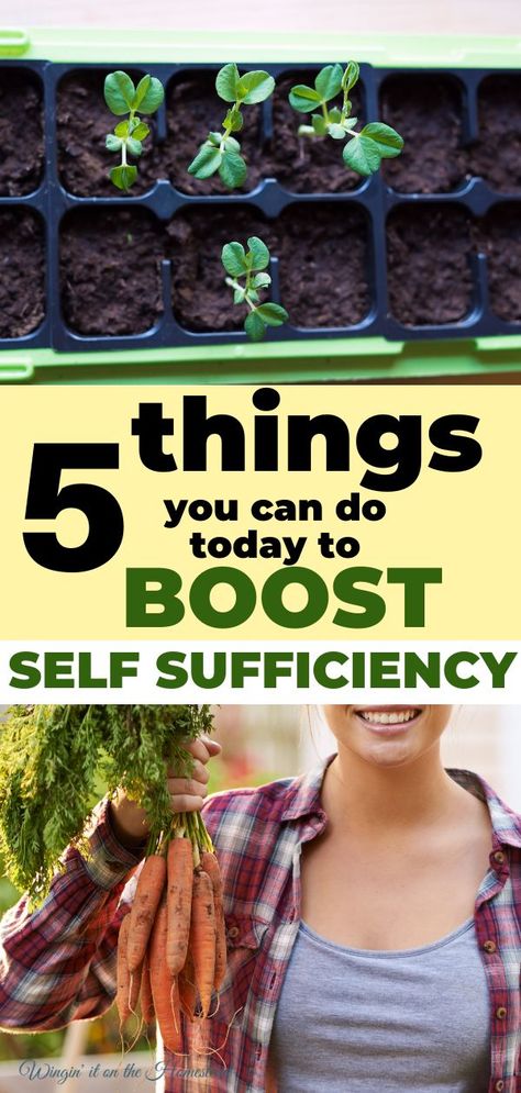 How to boost self sufficiency How To Be Self Sufficient, Sustainable Living For Beginners, Self Sufficient Homestead, Homesteading Skills, Self Sufficient, The Homestead, Food Supply, Small Space Gardening, Small Farm