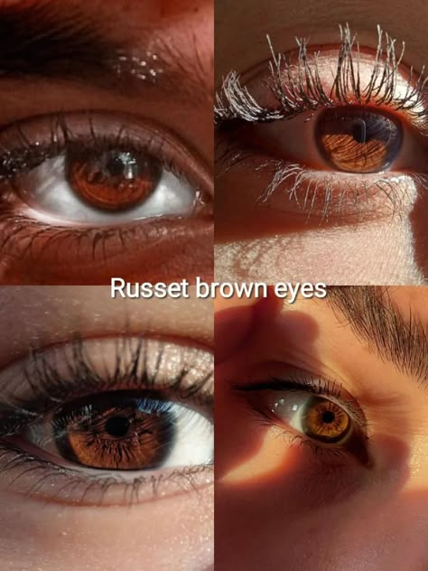 Russet Eyes, Russet Brown Eyes, Pretty Eyes Color, Brown Eyes Aesthetic, Eye Color Chart, Eye Colours, Eyes Aesthetic, Pretty Brown Eyes, Beautiful Eyes Color