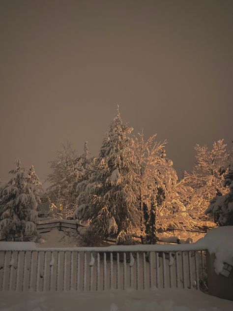 Blizzard Aesthetic, Winter Background Aesthetic, Aesthetic Cabin, January Aesthetic, Snowy Street, American Vibes, Snow Blizzard, Snowy Cabin, Landscape Reference