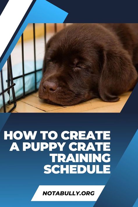 Wondering how to create a crate training schedule for your puppy? Learn from a professional dog trainer and pick up free sample schedules. How To Crate Train A Puppy, Crate Training Schedule, Crate Training Puppy Schedule, Dog Tricks Easy, Crate Training Dog, Puppy Training Schedule, Crate Training Puppy, Puppy Crate, Puppy Time