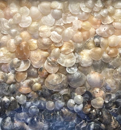 Shells Wall Hanging, Jingle Shells, Art Work Wall, Beach Craft, Shell Display, Seashell Wall Art, Shell Crafts Diy, Sea Crafts, Shell Collection