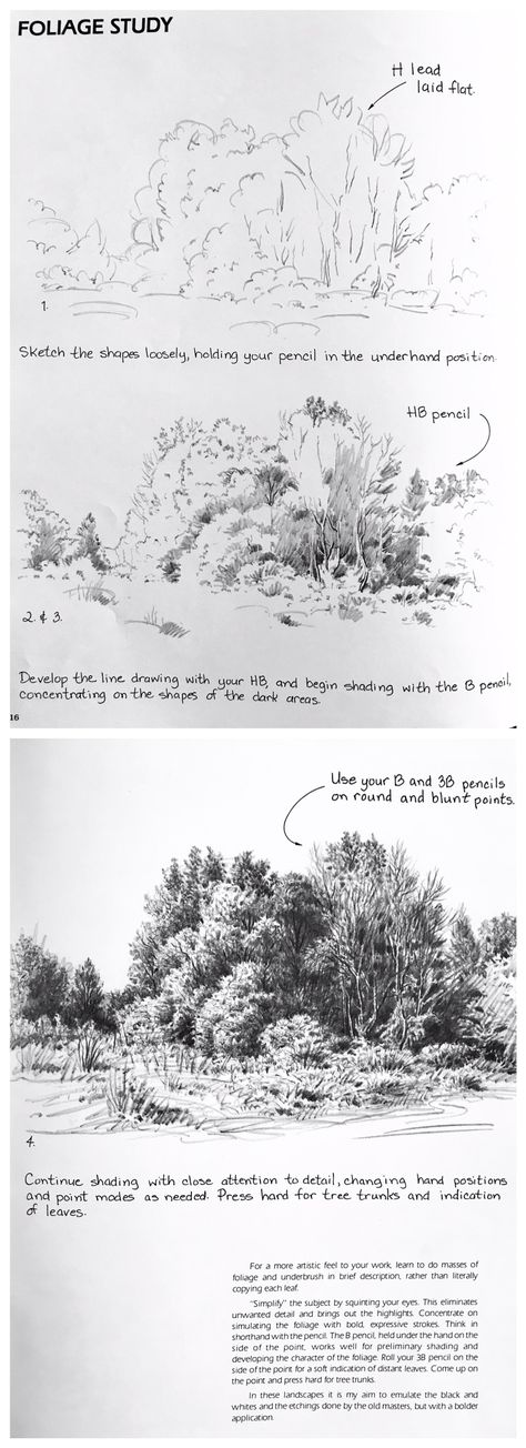 Tips For Drawing Landscapes, Foliage Sketch Pencil, Landscape Tutorial Drawing, How To Draw Bushes Pencil, Drawing Landscapes Tutorial, How To Draw Foliage, Pencil Sketch Background, Bush Drawing Pencil, Nature Study Drawing Sketch