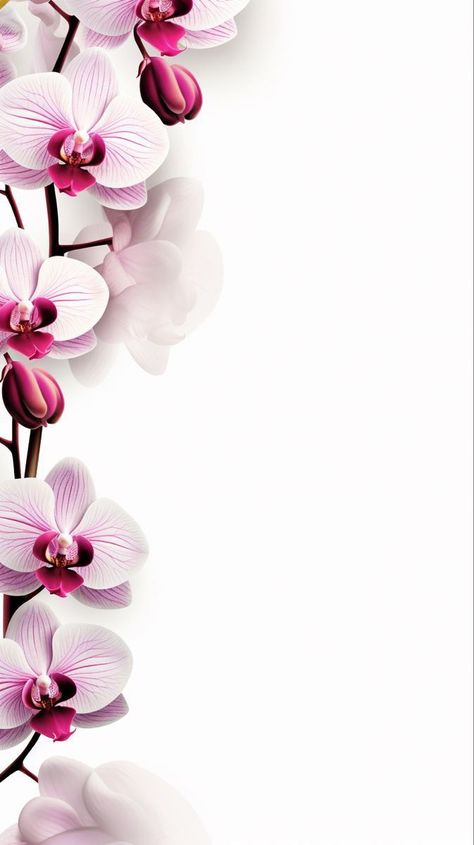 Orchid Flower Background, Orchid Background Wallpapers, 9 16 Backgrounds, Orchids Background, 16 9 Wallpaper Backgrounds, Orchids Wallpaper, Orchid Background, Floral Frame Background, 9:16 Wallpaper