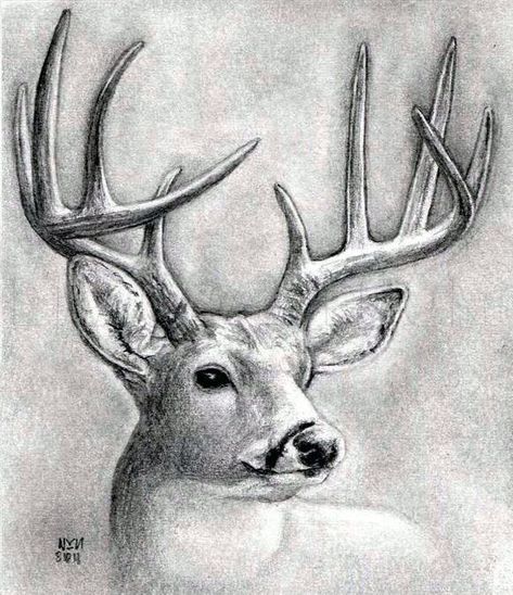 Deer Sketch, Deer Drawing, Drawing Heads, Drawing Guide, Deer Art, Soyut Sanat Tabloları, Nature Drawing, A Deer, Step Drawing