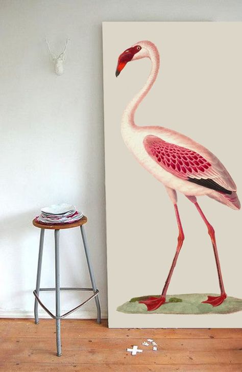 Flamingo Print Bird Decor Large Scale Print Vintage - Etsy Latvia Antique Bird Illustration, Bird Illustration Print, Large Scale Wall Art, Fruit Wall Art, Octopus Print, Fruit Picture, Unique Art Prints, Casa Container, Antique Illustration