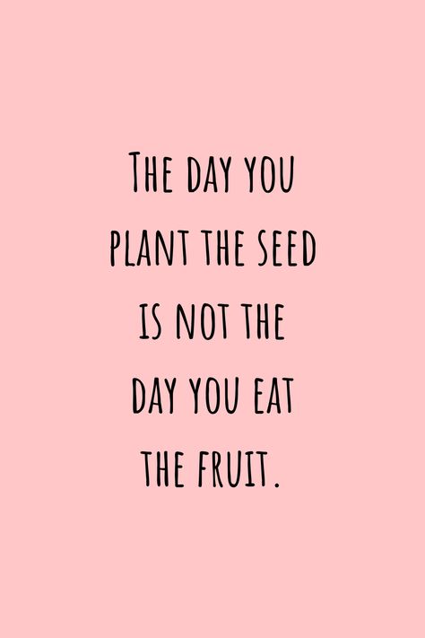 The Day You Plant The Seed, Plant Seeds Quotes, The Day You Plant The Seed Quote, Fruit Quotes Inspirational, Fruits Quotes, Planting Seeds Quotes, Strawberry Quotes, Vegetables Quote, Seed Quotes