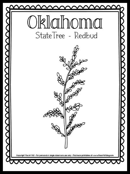 Oklahoma State Tree Coloring Page (the Redbud!) {FREE Printable!} - The Art Kit Oklahoma State Flower Tattoo, Oklahoma State Symbols, Oklahoma Coloring Pages, Oklahoma Tattoo Ideas For Women, Oklahoma Tattoo Ideas, Oklahoma Tattoo, Food Stamp Card, State Project, State Flowers