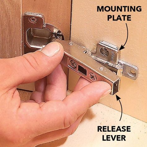 All about Euro Hinges | Family Handyman Replacement Cabinet Doors, Hinges Diy, Cabinet Repair, Cabinet Door Replacement, Face Frame Cabinets, Kitchen Cabinets Hinges, Custom Cabinet Doors, European Hinges, Cocina Ideas