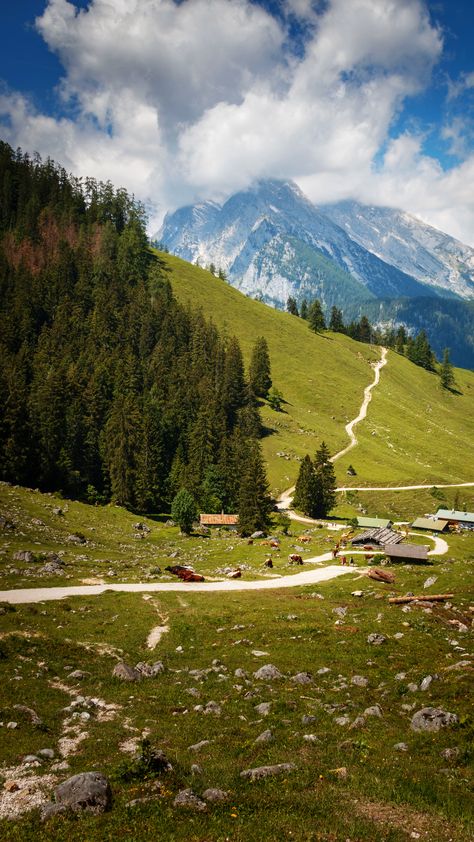 Path to the Königsbachalm with a view of the cloud-covered Watzmann on the Jenner in the Berchtesgaden National Park Berchtesgaden National Park, Vacation Deals, Travel Channel, Airline Tickets, Travel Packages, Travel Sites, Holiday Packaging, Vacation Packages, All Inclusive Resorts