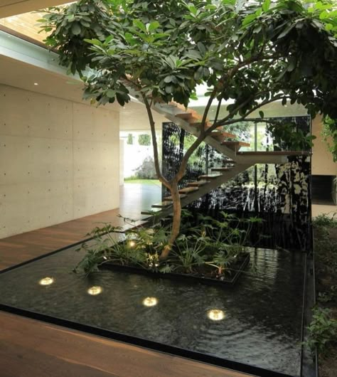 Atrium Garden, Kon Mari, Indoor Courtyard, Kolam Koi, Taman Air, Indoor Tree, Courtyard Design, Indoor Trees, Garden Architecture