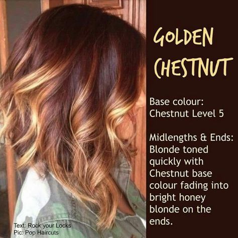 Hair color                                                                                                                                                                                 More Rock Your Locks, Winter Hair Colors, Chestnut Hair, Chestnut Hair Color, Winter Hair Color, Winter Hair, Haircut And Color, Brown Blonde Hair, Hair Color And Cut