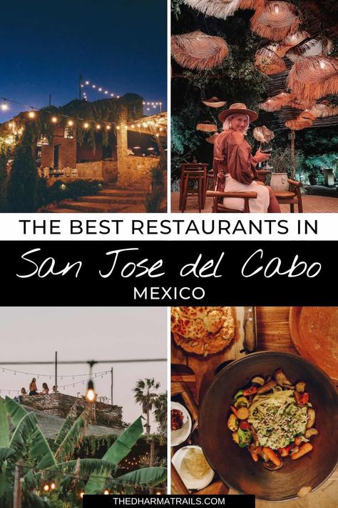 Best Places To Eat In San Jose Del Cabo, Best Restaurants In San Jose Del Cabo, San Jose Cabo Mexico, Cabo San Lucas Food, Cabo San Jose Mexico, San Jose Del Cabo Restaurants, Cabo Restaurants, Cabo San Lucas Restaurants, Farm To Table Food