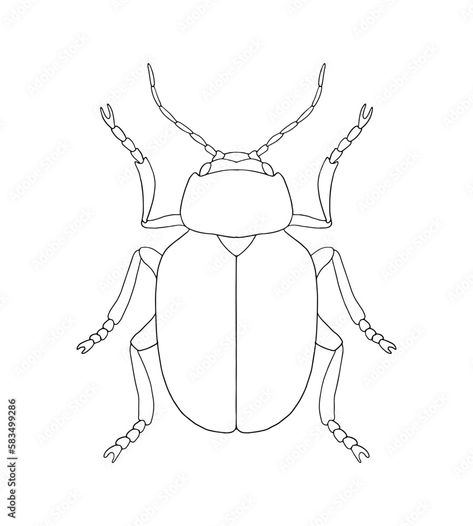 Beetle Reference, Leaf Beetle, Linear Pattern, Stained Glass, White Background, Stock Vector, Design Ideas, How To Draw Hands, Art Design