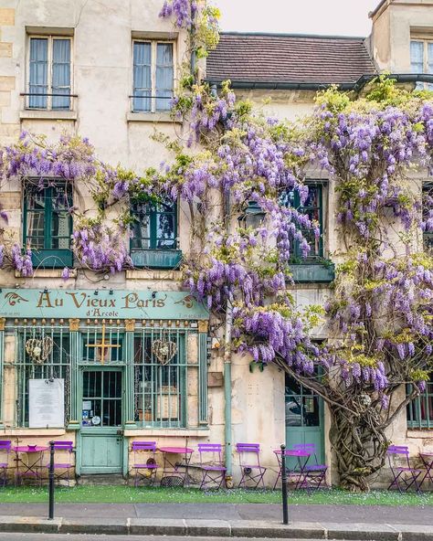 The Best Places to see Wisteria in Paris - Limitless Secrets Paris Spring Aesthetic, France In Spring, Paris Trip Planning, Spring Paris, Paris In Spring, Spring In Paris, Springtime In Paris, Paris France Travel, Spring City