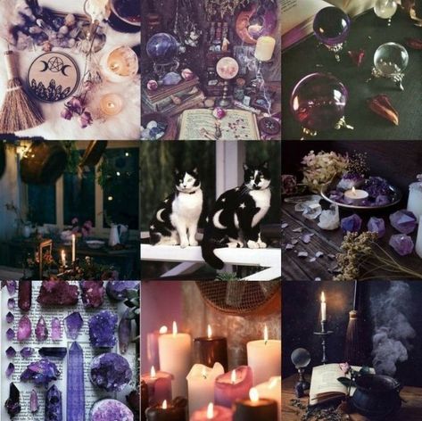 Witch Aesthetic Moodboard, Moodboard Character Inspiration, Witch Moodboard Aesthetic, Halloween Mood Board Aesthetic, Animal Mood Board, Animal Moodboard Aesthetic, Moodboard Inspiration Mood Boards Ideas, Cat Color Palette, Adopt Moodboard