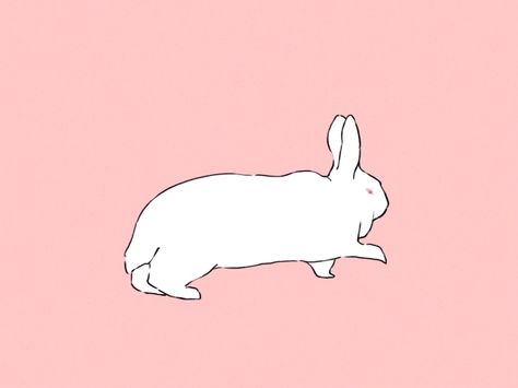 Animated Rabbit, Animated Bunny, Jump Animation, Rabbit Gif, Girly Frame, Bunny Drawing, Animated Animals, Animation Tutorial, Animation Reference