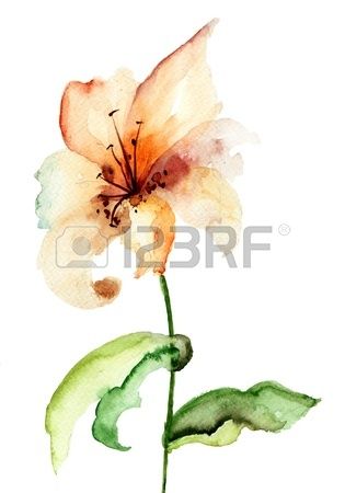 Yellow Lily flower, watercolor illustration Lilies Tattoo, Tattoo Lily, Tiger Lily Tattoos, Lily Tattoos, Water Lily Tattoos, Tattoos Foot, Pattern Tattoos, Lily Tattoo Design, Lilies Drawing