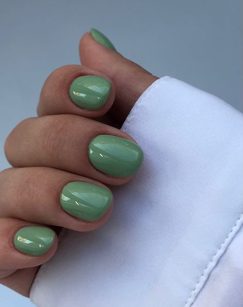 Pistachio Nail Color, Classy Green Nails, Solid Colored Nails, Green Gel Nails Short, Pistachio Green Nails, Pistachio Nails, Short Nails Green, March Nail Colors, March Nails Colors