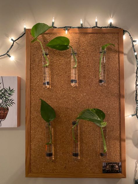 I made this propagation wall for my plants using magnets, test tubes, and a cork board! Cork Board Diy, Cork Board Ideas For Bedroom Aesthetic, Propagation Wall Diy, Propagation Tubes, Test Tube Plant Wall, Aesthetic Cork Board Ideas, Flowers In Test Tubes On Wall, Plants In Test Tubes On Wall, Wall Propagation Station Diy