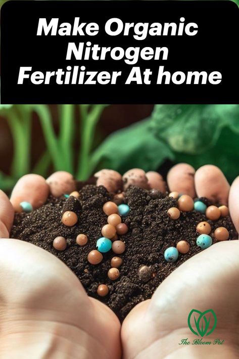 Make nitrogen fertilizer for your garden at home with around the corner ingredients. Nitrogen For Plants, Plant Food Diy, Homemade Plant Fertilizer, Diy Fertilizer, Organic Fertilizers, Plant Fertilizer, Japanese Plants, Noni Fruit, Natural Fertilizer