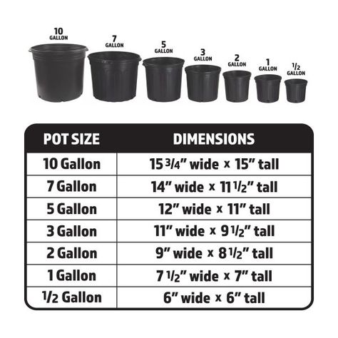 5 Gallon Nursery Pots | Tall 5 Gallon Grow Pots for Plants | HTG Supply Nft Hydroponics, Trellis Netting, Plant Saucers, Natural Insecticide, Hydroponics Diy, Grow Light Bulbs, Compost Tea, Organic Compost, Grow Bags