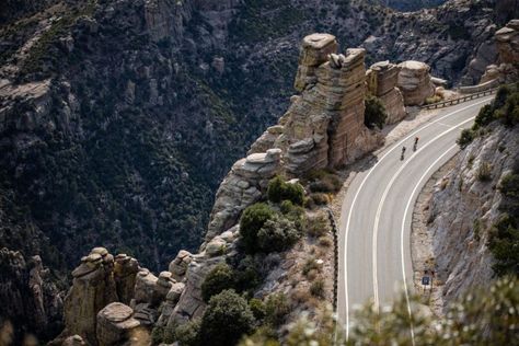 Mount Lemmon, Mt Lemmon, Island In The Sky, Sonora Desert, Santa Catalina, Arizona Travel, Mountain Biker, Scenic Routes, Pine Forest