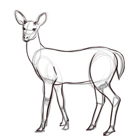 How To Draw A Deer, Dear Drawing, Line Drawing Of Flowers, Deer Drawing Easy, Draw A Deer, Deer Outline, American Flag Drawing, Alpaca Drawing, Drawing Of Flowers