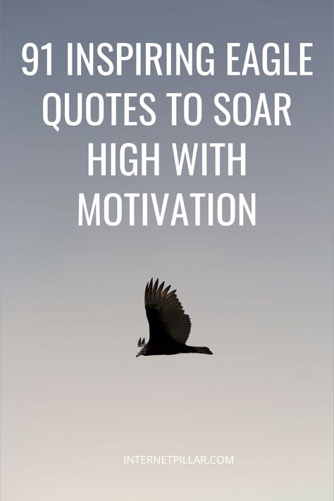 91 Inspiring Eagle Quotes to Soar High with Motivation - #quotes #bestquotes #dailyquotes #sayings #captions #famousquotes #deepquotes #powerfulquotes #lifequotes #inspiration #motivation #internetpillar Eagles Quotes Inspirational, Fly High Like An Eagle Quotes, Eagle Scout Quotes, Soar Quotes Inspiration, Fly Like An Eagle Quotes, Soaring High Quotes, Eagle Quotes Inspiration Life, Soar High Quotes, Inspirational Quotes About Eagles