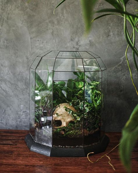 Cemetarium Moss Terrarium, Gothic Terrarium Ideas, Goth Terrarium, Gothic Terrarium, Cemetery Terrarium, Spooky Terrarium, Terrarium Cabinet, Skull Terrarium, Halloween Terrarium