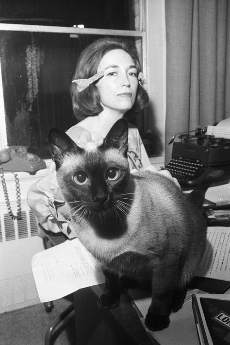 T S Elliot, Helen Gurley Brown, Famous Cats, Mad Woman, Blurry Pictures, 20 Questions, Sensitive Content, Book Aesthetics, Cat People