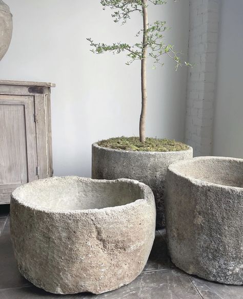 Antique Stone Sink, Stone Sinks, Stone Planters, Cement Planters, Antique Stone, Have Inspiration, Trendy Short Hair, Room Deco, Concrete Diy