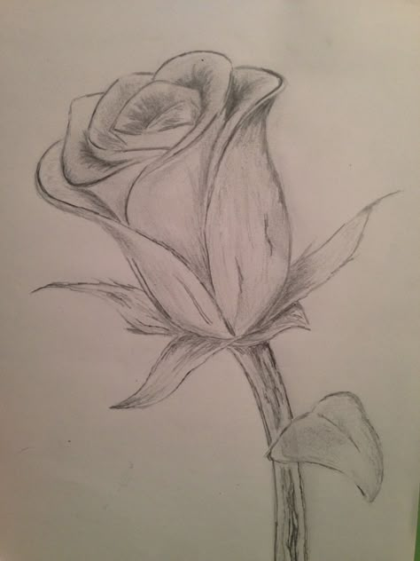 Cool Flower Drawings, Pencil Drawings Of Flowers, Flower Drawings, Drawing Eyes, Drawing Hair, Learn Drawing, Art Drawings Sketches Pencil, Flower Sketches, Roses Drawing