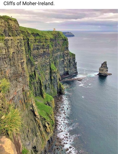 Cliffs Of Moher Ireland, Deep Sea Creatures, Cliffs Of Moher, World Photo, Snow Leopard, Ireland Travel, Deep Sea, Mother Earth, Sea Creatures