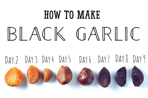 How to make Black Garlic at home Recipes With Black Garlic Powder, Black Garlic Uses, How To Make Black Garlic, How To Make Black Garlic At Home, Diy Minced Garlic, Making Black Garlic, Fermented Pickles, Black Garlic, Garlic Recipes