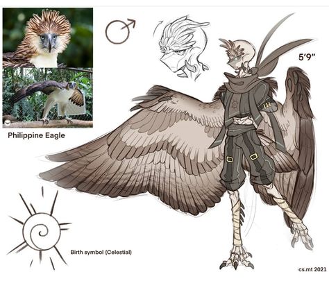 Harpy Bird, Mythical Creature Design, Greek Monsters, Bird People, Concept Art Tutorial, Wings Art, Fantasy Dragon, Fantasy Inspiration, Character Creation