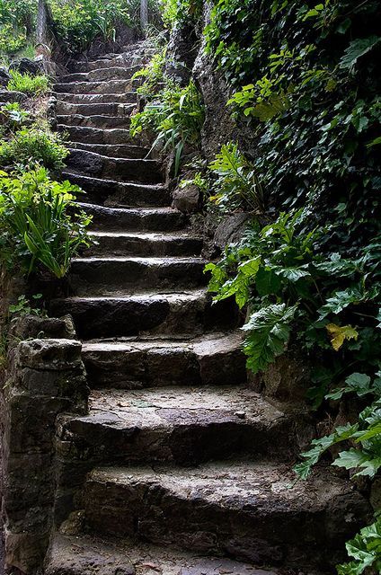 Old Stairs, Stone Steps, Garden Stairs, Stone Stairs, Stairway To Heaven, Old Stone, Alam Yang Indah, The Hill, Nature Aesthetic