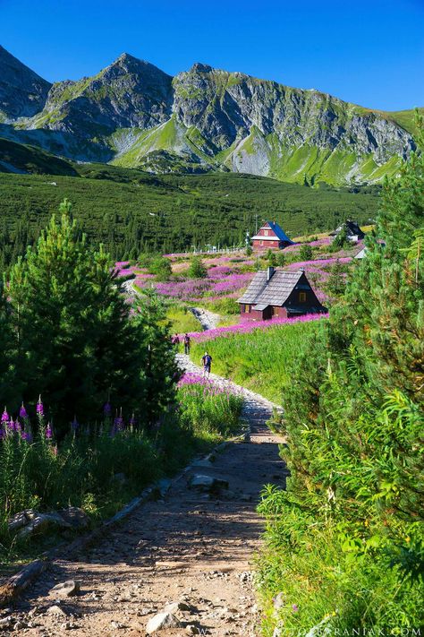 Polish Mountains, Poland, Hiking, Natural Landmarks, Travel, Nature