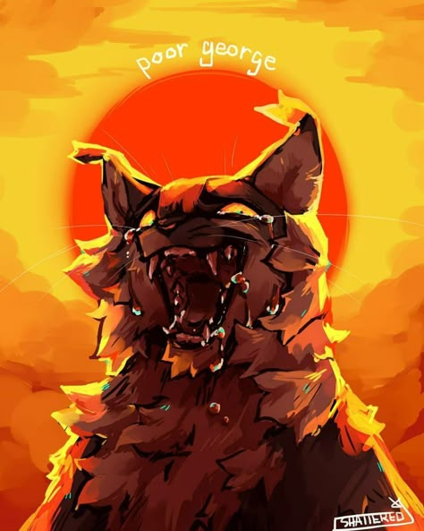 Warriors Fanart, Warrior Cats Fanart, Warrior Cat Art, Warrior Cats Fan Art, Battle Cats, Cat References, Warrior Cat Drawings, Warrior Cats Art, Warriors Cats