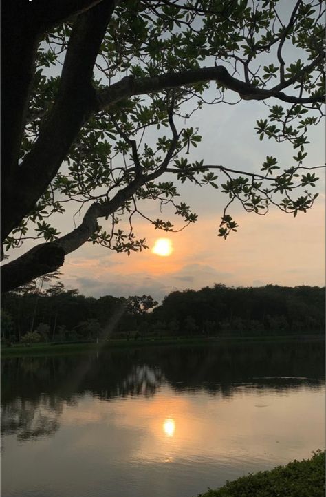 Danau Aesthetic, Sunset View Aesthetic, Dark Forest Aesthetic, Sky Photography Nature, Adventure Aesthetic, Snap Streak, Pretty Landscapes, Insta Profile, Insta Profile Pic